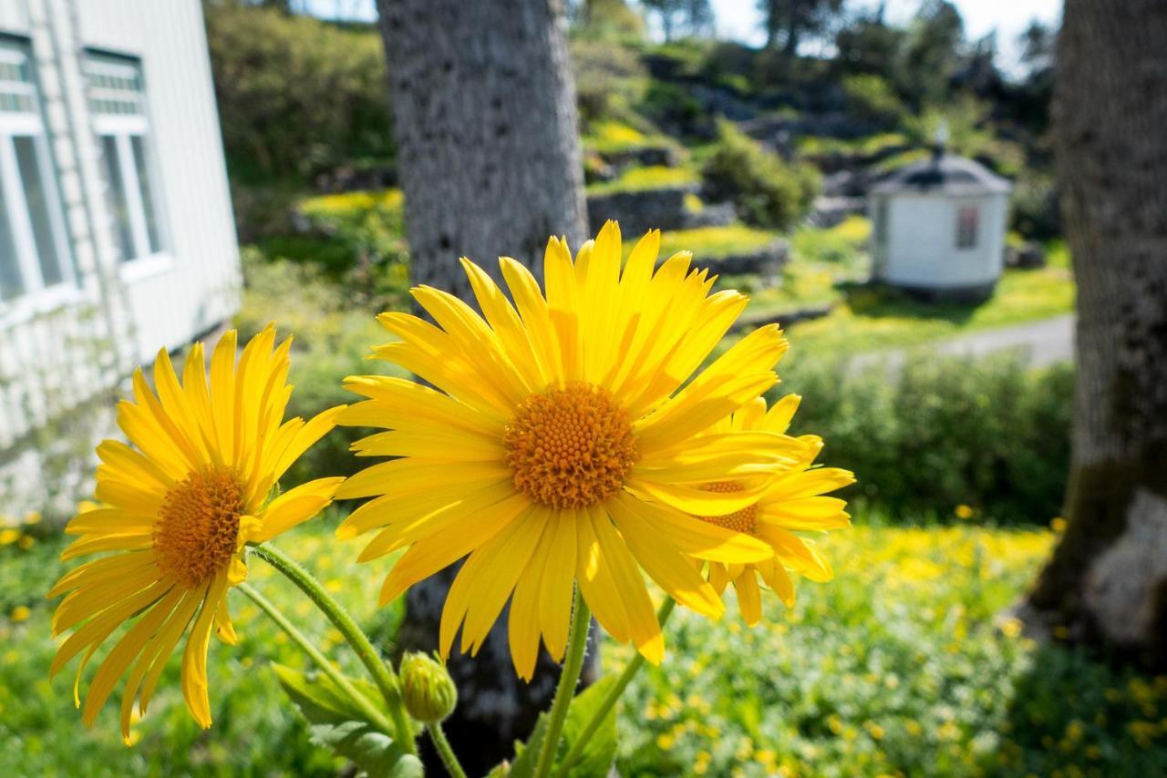 Lofoten Sommerhotell Og Vandrerhjem Kabelvåg Екстериор снимка